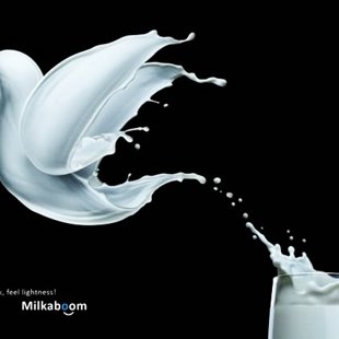Milk Milkaboom: "Drink milk, a sense of ease"
